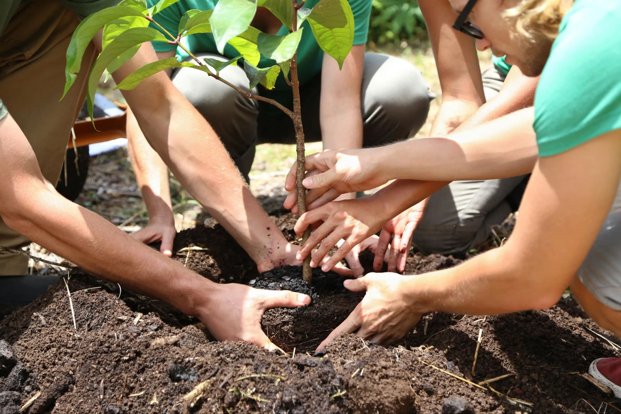 🌿 Appreciative Inquiry: Asking What’s Strong to Inspire What’s Possible